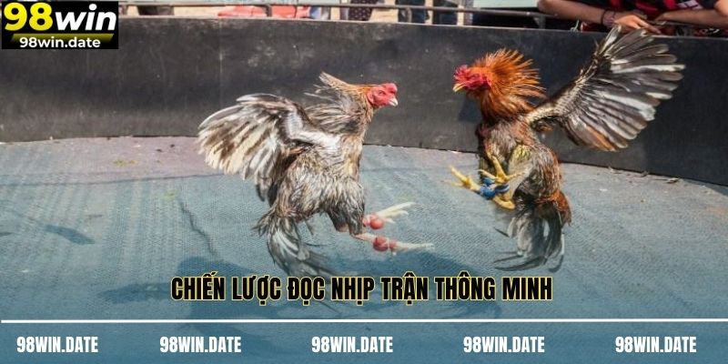 Chiến lược đọc nhịp trận thông minh 