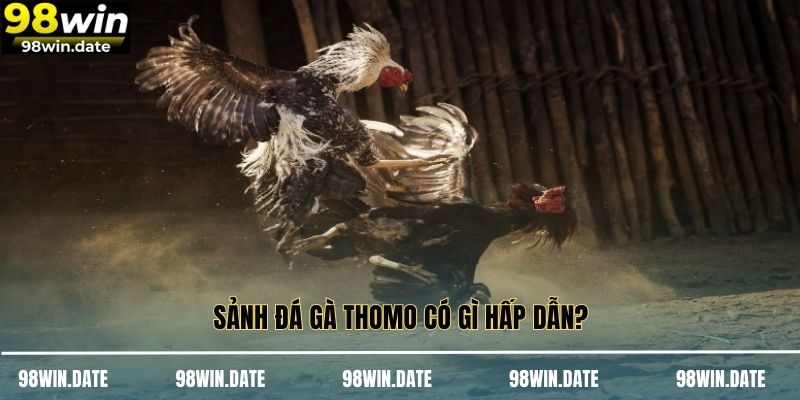 Phiên bản cựa dao đặc sắc cho cược thủ 