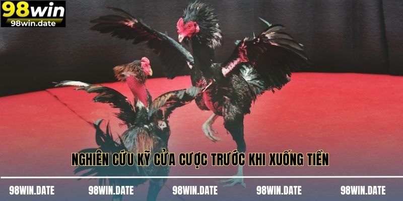 Nghiên cứu kỹ cửa cược trước khi xuống tiền 